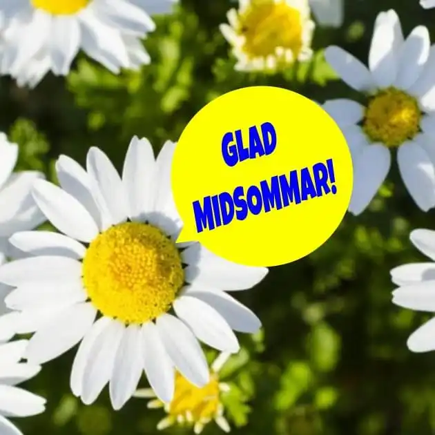"Glad Midsommar" önskar vi alla invånare i hela vår vackra kommun!