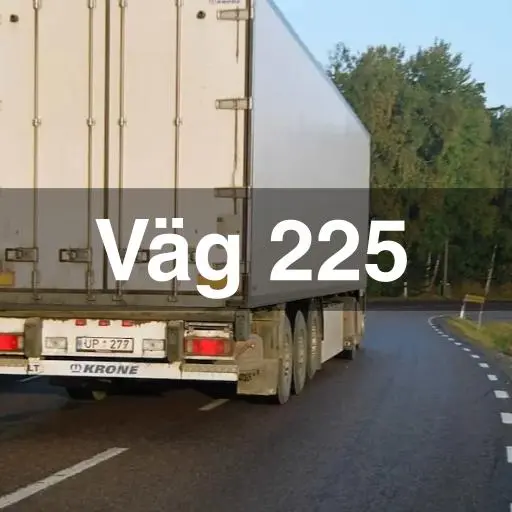 Väg 225