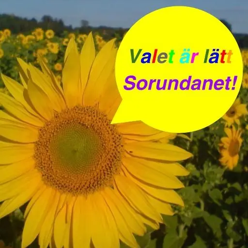 Valet är lätt - Sorundanet!