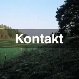 Kontakta oss