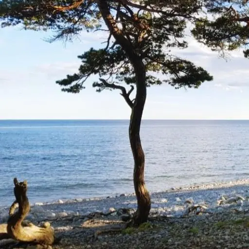 Sorundanet Nynäshamns kommunparti